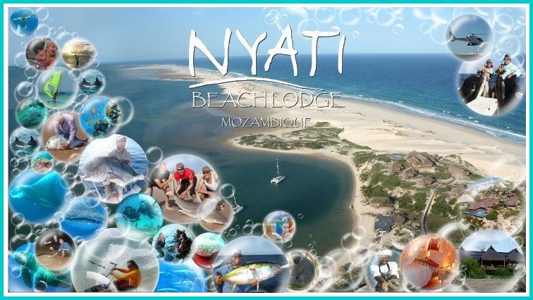 Nyati in the Archipelago with excurions for the best diving, best fishing,  best honeymoon, to swim with whale sharks, manta and kite surf